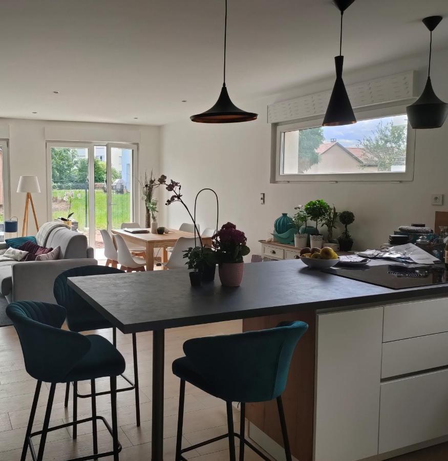 La Maison Bleue, A 20 Mn De Strasbourg, Sur La Route Des Vins, Jusqu'A 6 Personnes, Sélestat Eksteriør billede