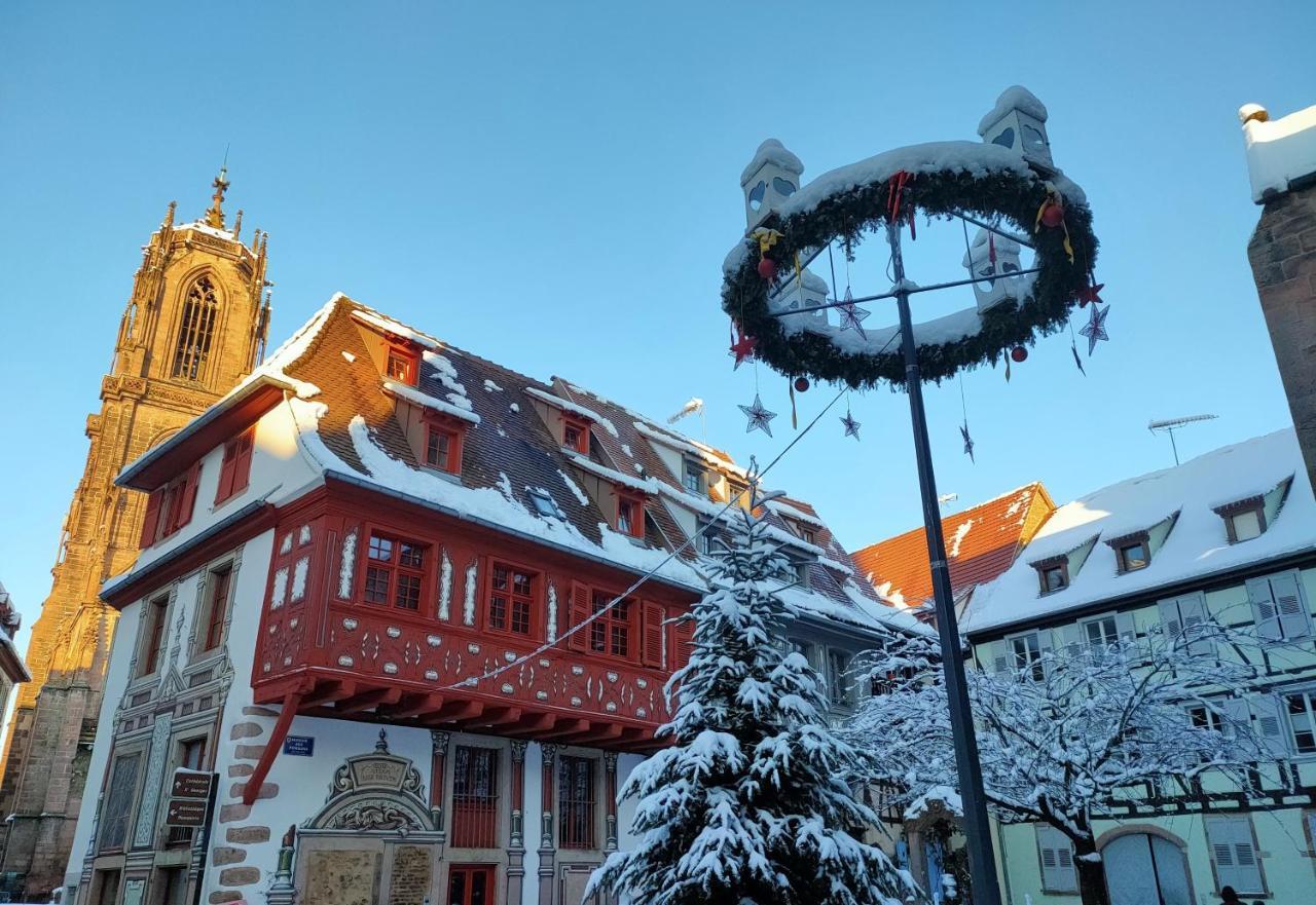La Maison Bleue, A 20 Mn De Strasbourg, Sur La Route Des Vins, Jusqu'A 6 Personnes, Sélestat Eksteriør billede