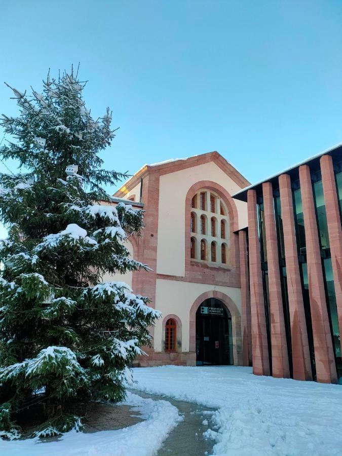 La Maison Bleue, A 20 Mn De Strasbourg, Sur La Route Des Vins, Jusqu'A 6 Personnes, Sélestat Eksteriør billede