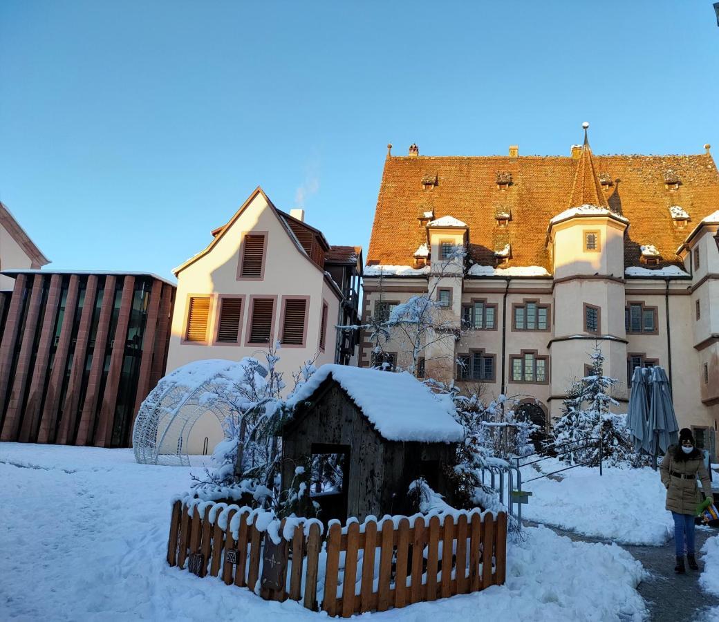 La Maison Bleue, A 20 Mn De Strasbourg, Sur La Route Des Vins, Jusqu'A 6 Personnes, Sélestat Eksteriør billede