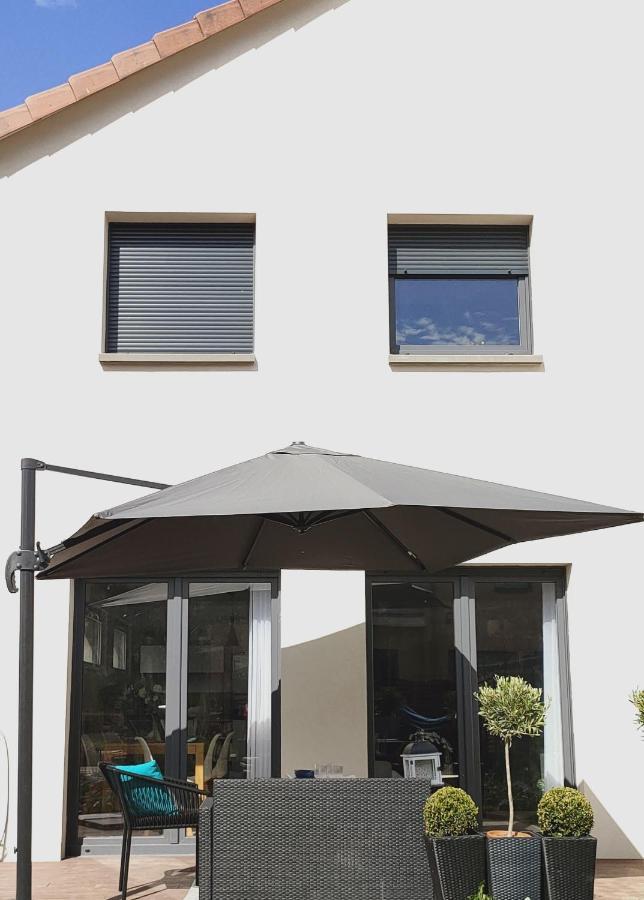 La Maison Bleue, A 20 Mn De Strasbourg, Sur La Route Des Vins, Jusqu'A 6 Personnes, Sélestat Eksteriør billede