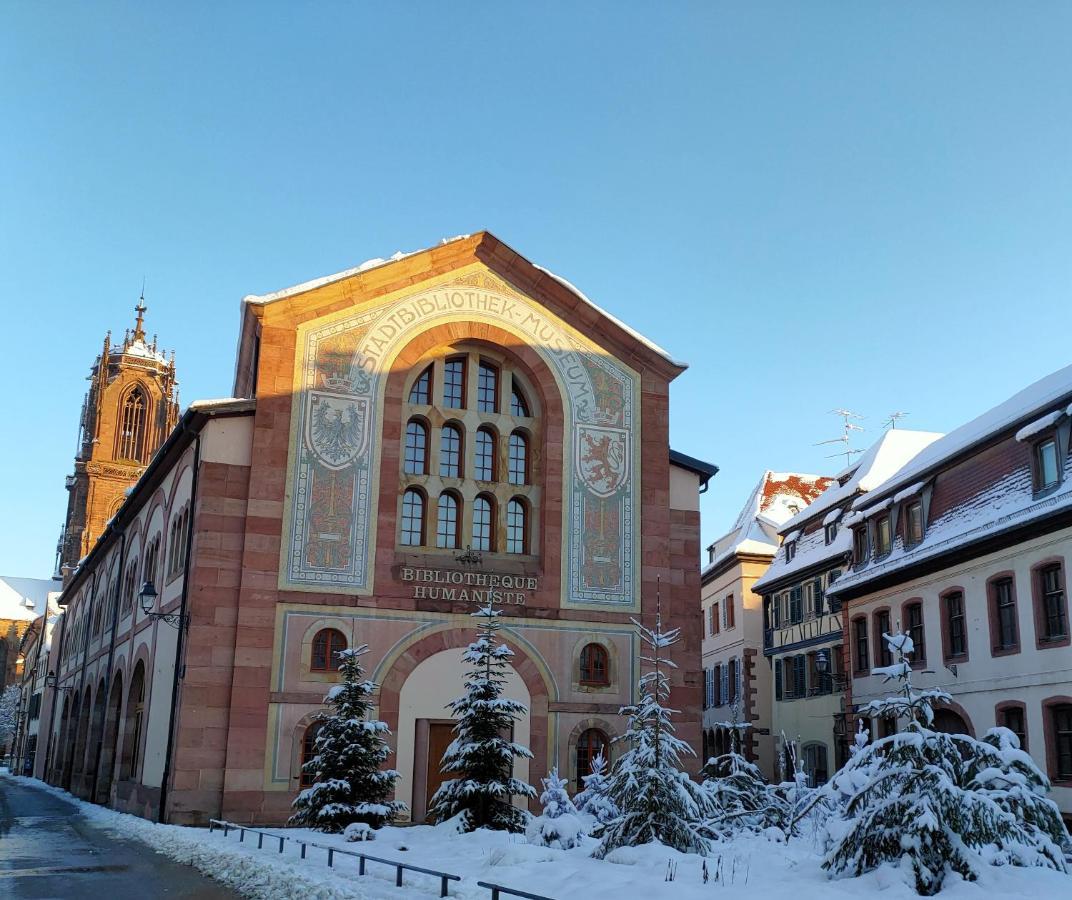 La Maison Bleue, A 20 Mn De Strasbourg, Sur La Route Des Vins, Jusqu'A 6 Personnes, Sélestat Eksteriør billede