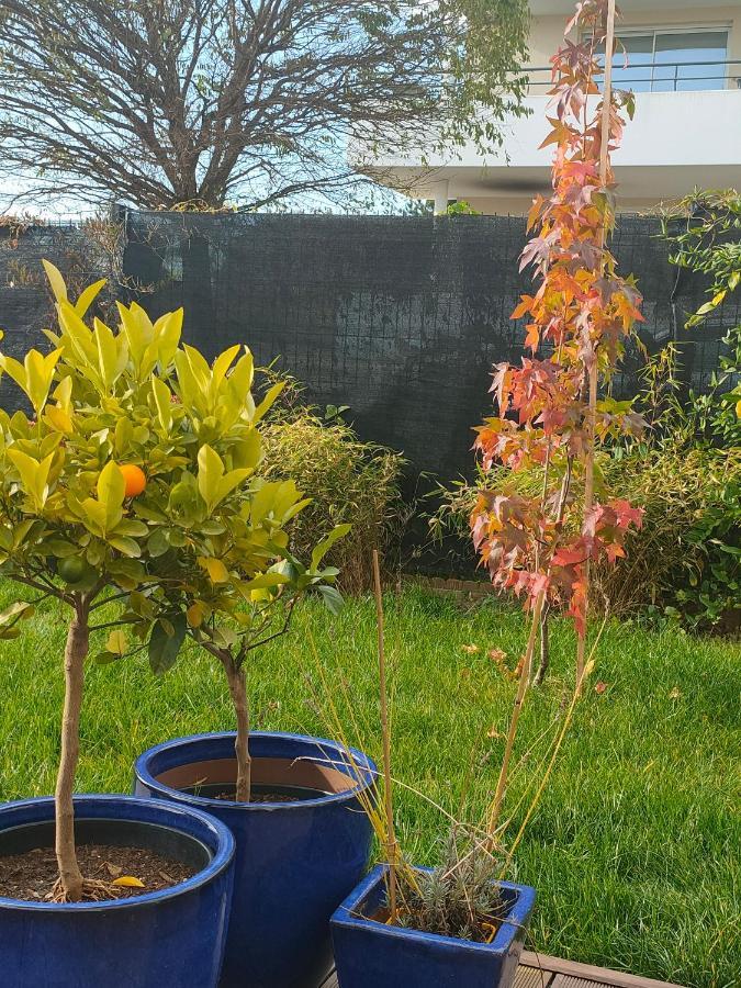 La Maison Bleue, A 20 Mn De Strasbourg, Sur La Route Des Vins, Jusqu'A 6 Personnes, Sélestat Eksteriør billede